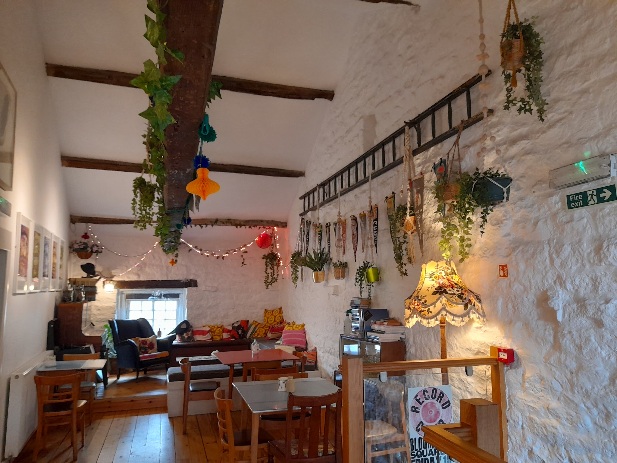 Comfortable seating, books and warm lamps inside Bloomfield Square